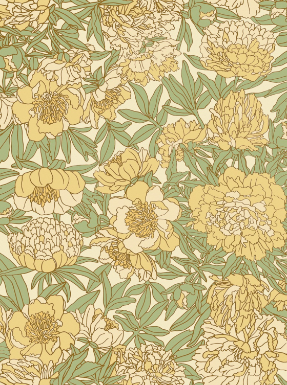 Peony Fever, Yellow